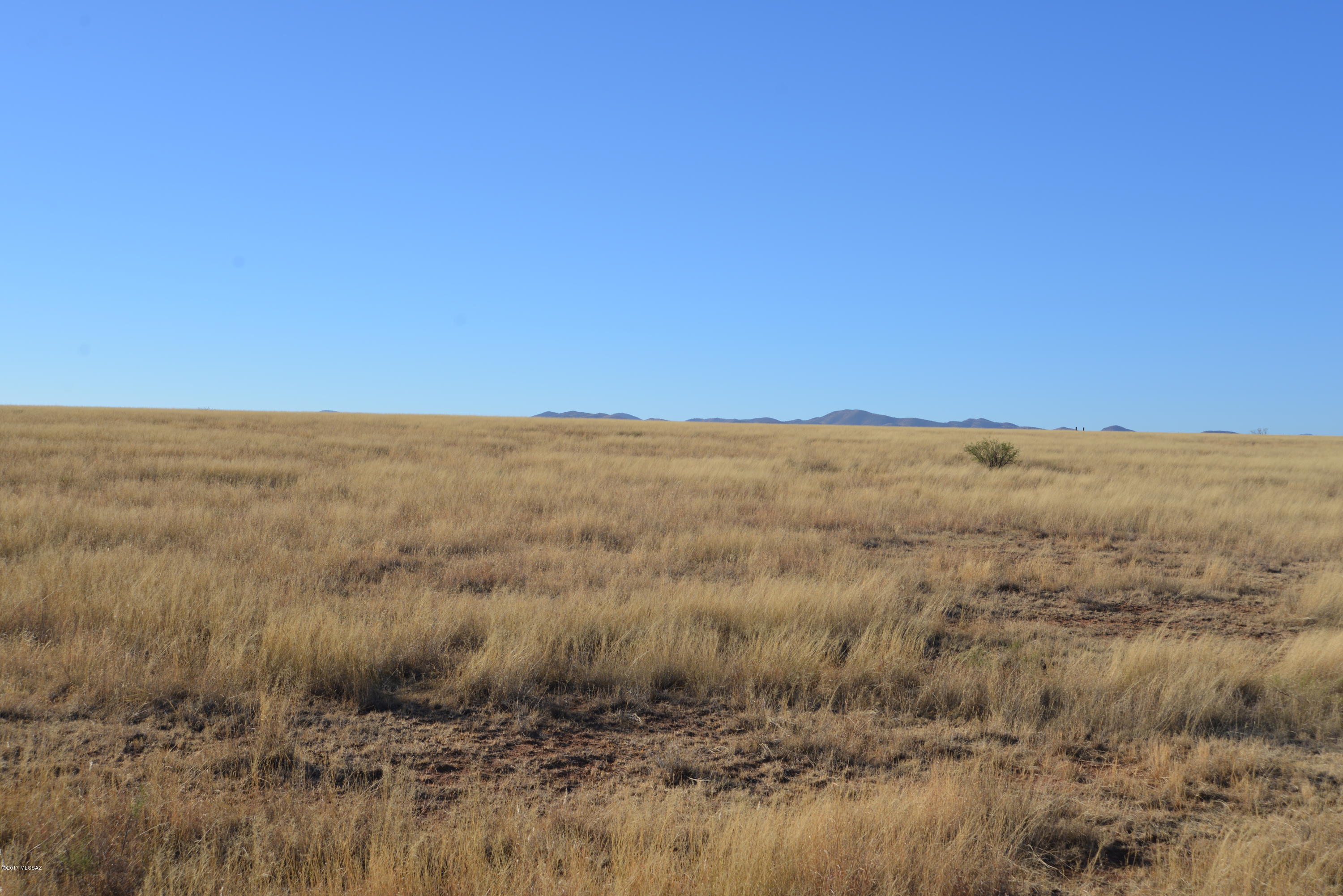 Out Of Pima County - Land