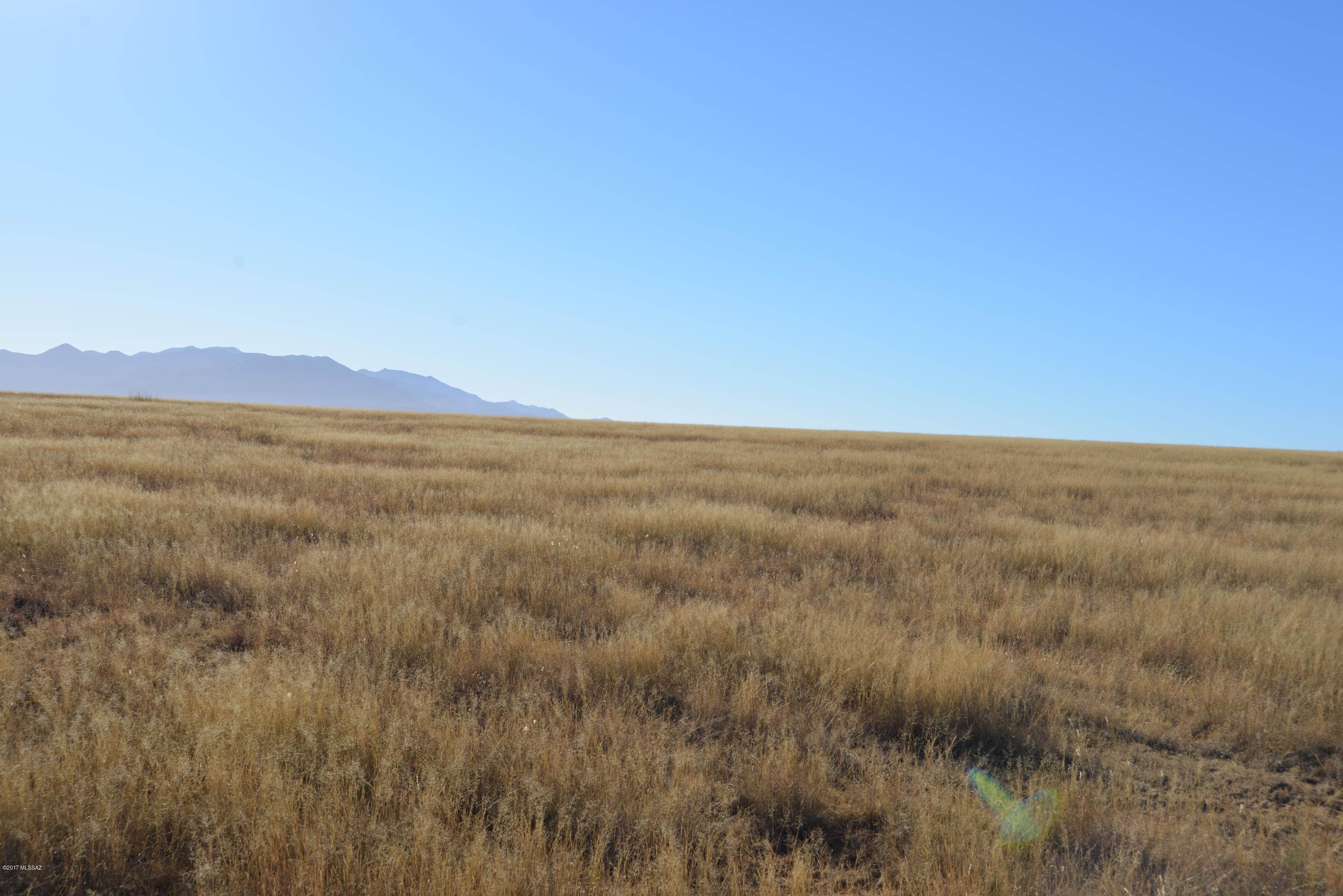 Out Of Pima County - Land