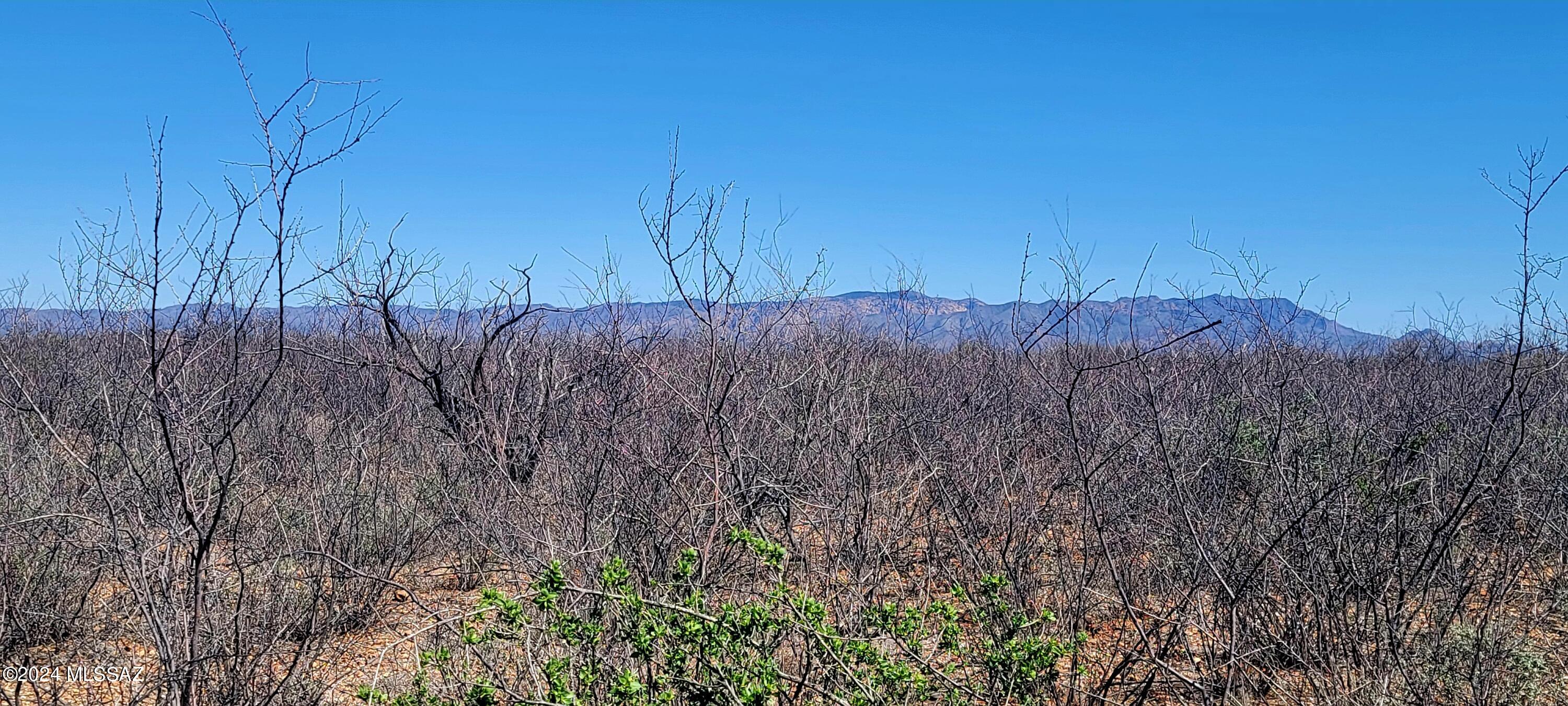 Out Of Pima County - Land