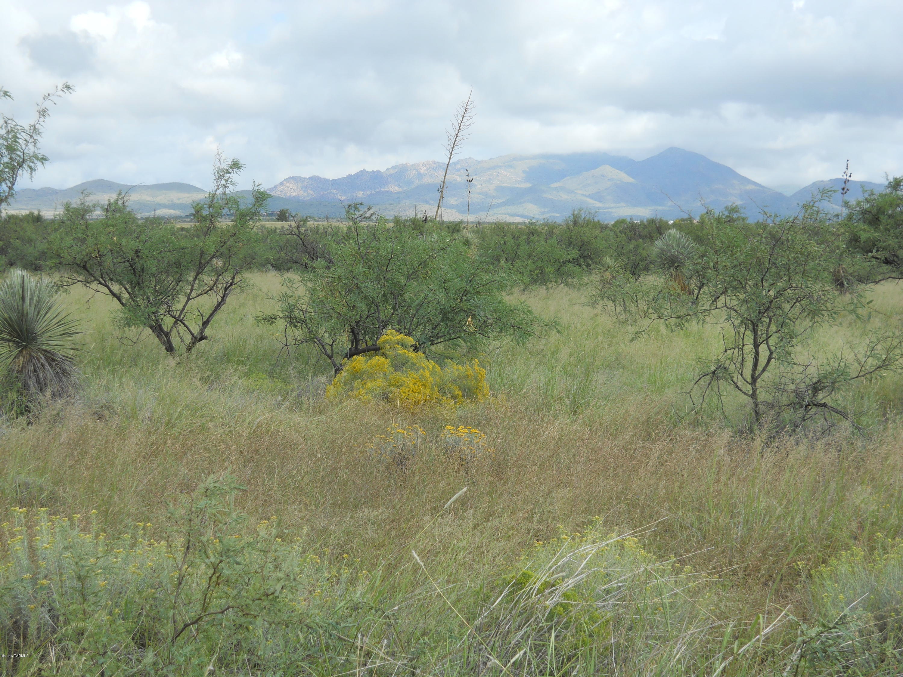 Mescal Lakes - Land
