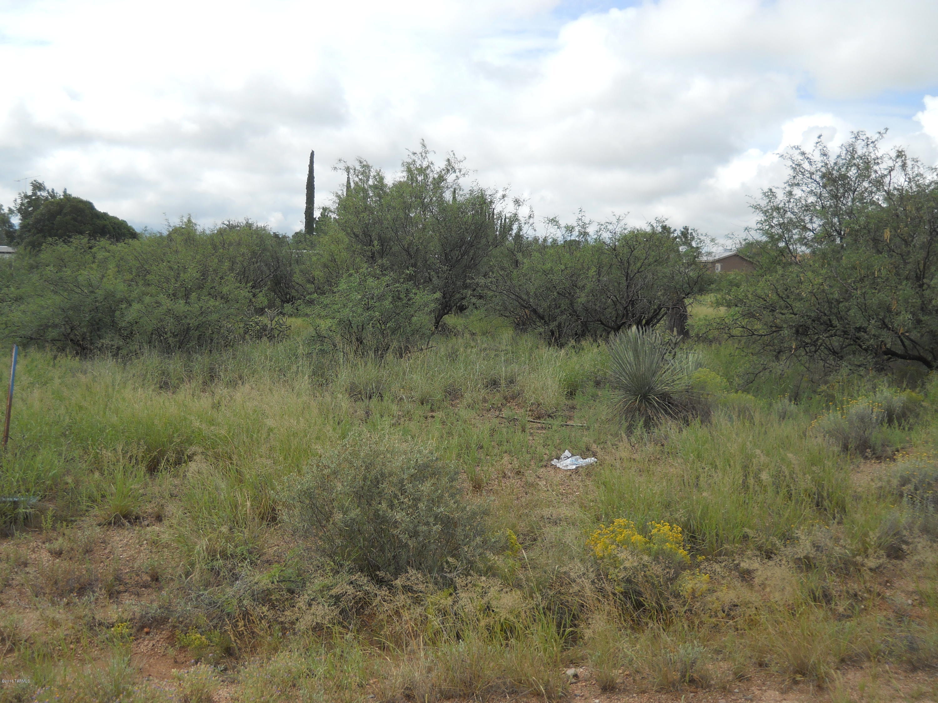 Mescal Lakes - Land