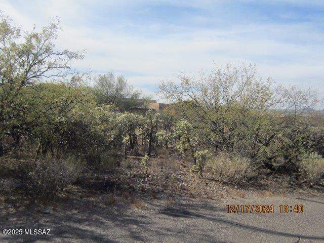 Madera Reserve Phase II (131-263) - Land