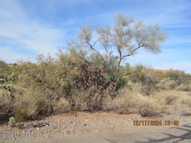 Madera Reserve Phase II (131-263) - Land