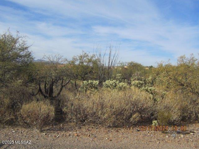 Madera Reserve Phase II (131-263) - Land