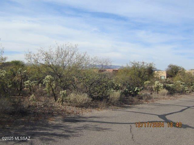 Madera Reserve Phase II (131-263) - Land