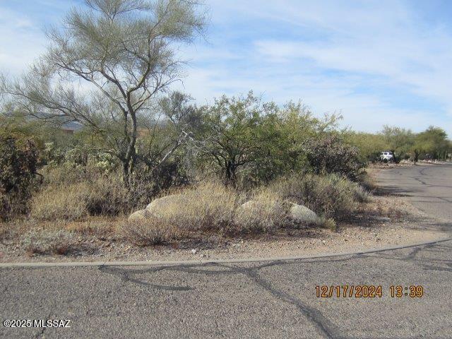 Madera Reserve Phase II (131-263) - Land