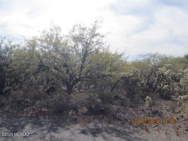 Madera Reserve Phase II (131-263) - Land