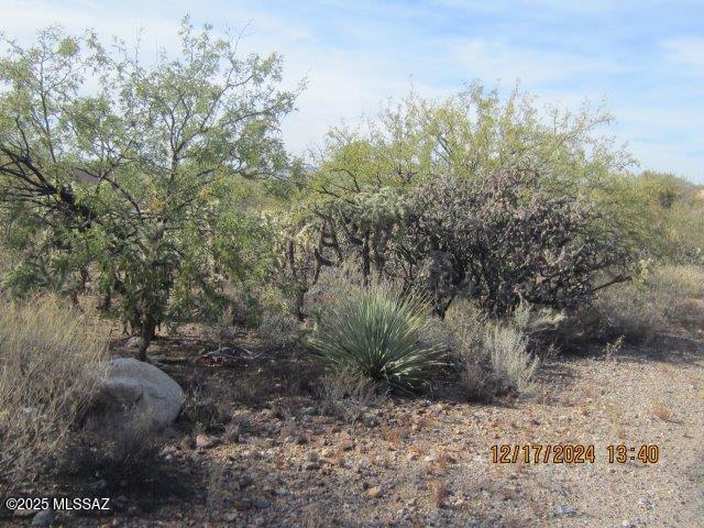 Madera Reserve Phase II (131-263) - Land