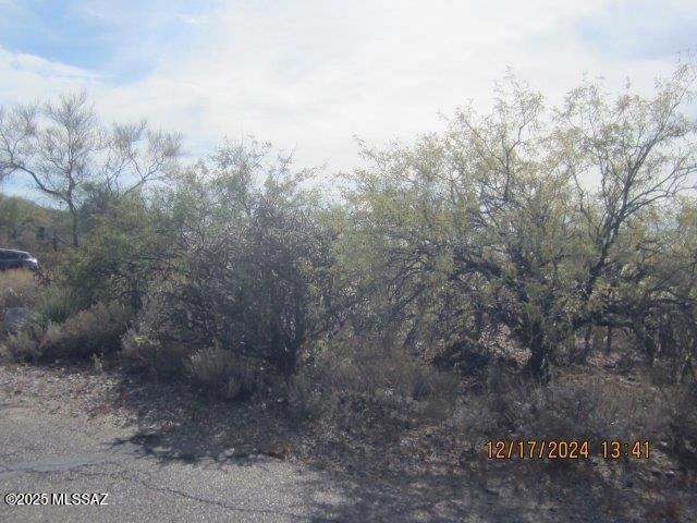 Madera Reserve Phase II (131-263) - Land