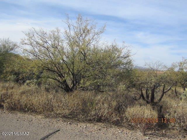 Madera Reserve Phase II (131-263) - Land