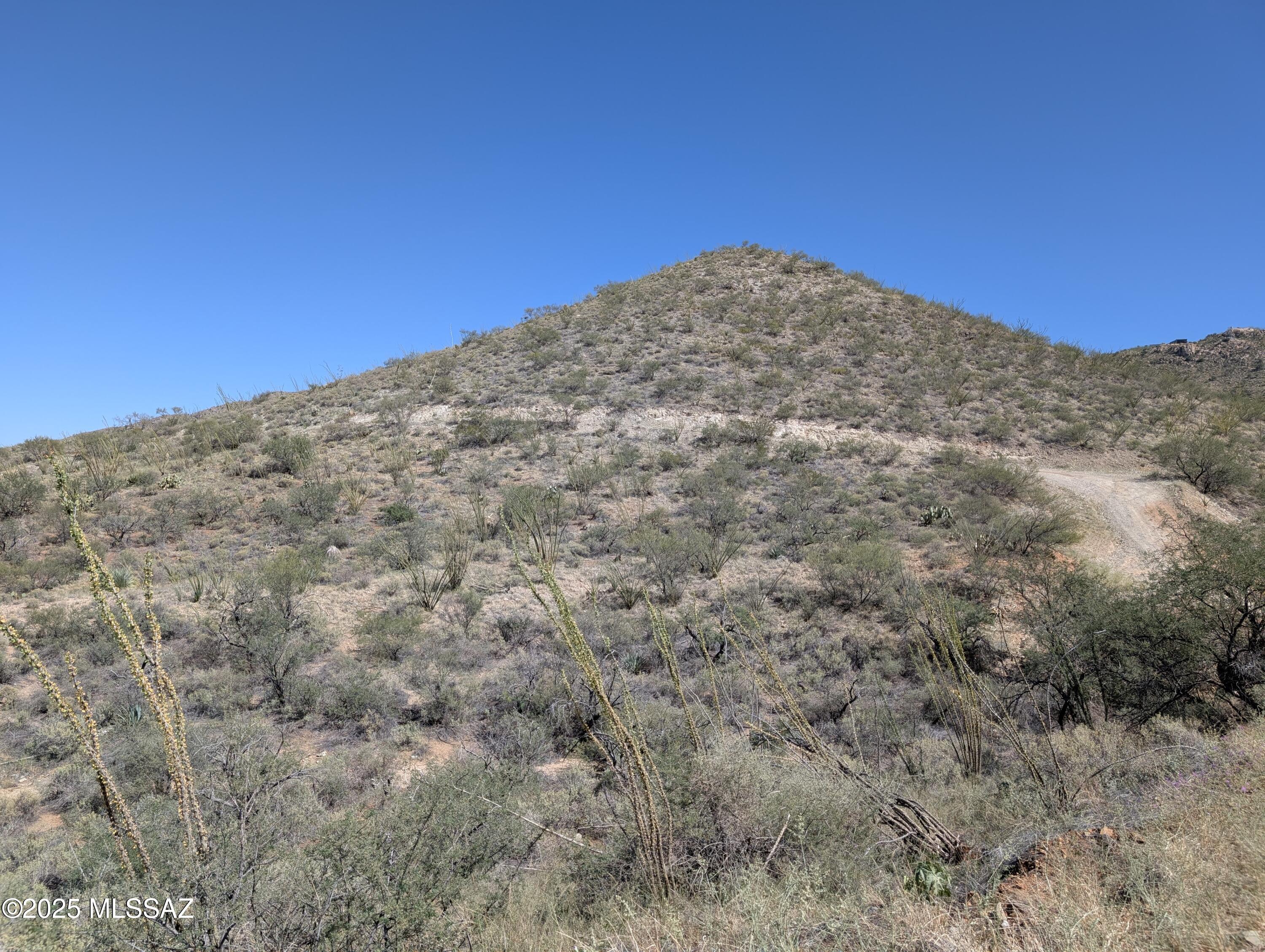 Own your very own piece of Arizona beauty with this stunning 9.55 acre horse-friendly property located just south of Vail. This one of a kind parcel includes the peak of a scenic hill, offering breathtaking panoramic views of surrounding mountain ranges, and the sparkling Tucson city lights. Whether you dream of building a custom home, creating a peaceful off-grid retreat, or enjoying a simple rural lifestyle, this property provides endless possibilities. You will love the privacy and tranquility of the area, while still being just a short drive to Tucson, Vail, and nearby vineyards. Enjoy peaceful desert living, star-filled night skies, and wide-open views.