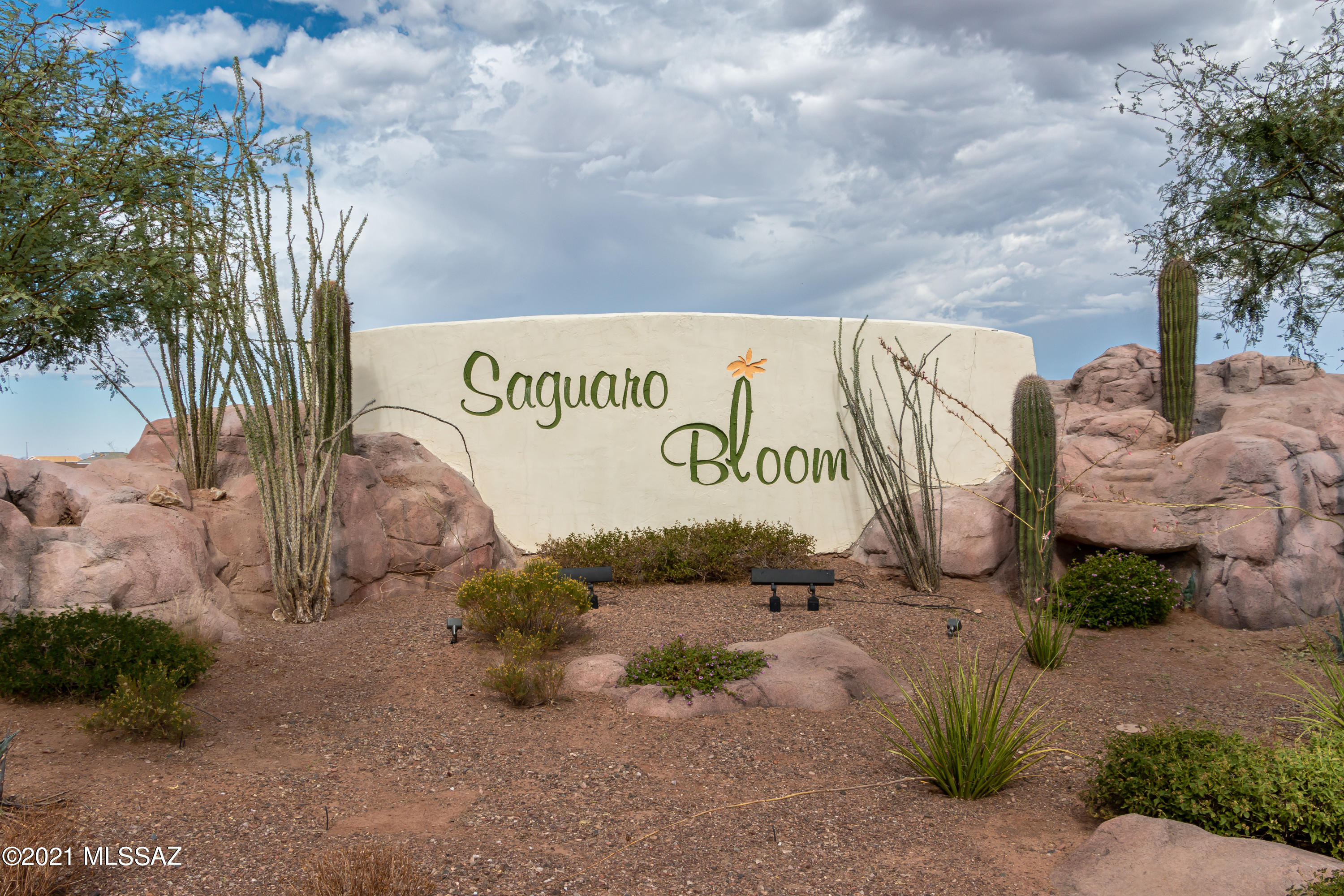 Saguaro Bloom Block 3 - Residential