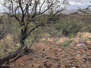Rio Rico Estates 16 - Land