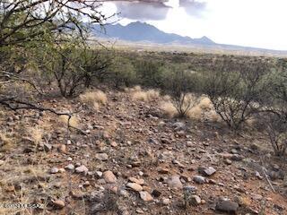 Rio Rico Estates 16 - Land