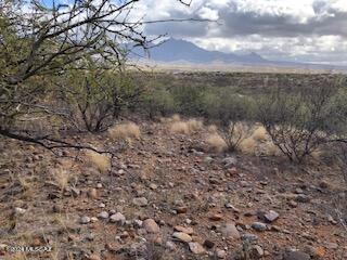 Rio Rico Estates 16 - Land