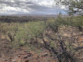 Rio Rico Estates 16 - Land
