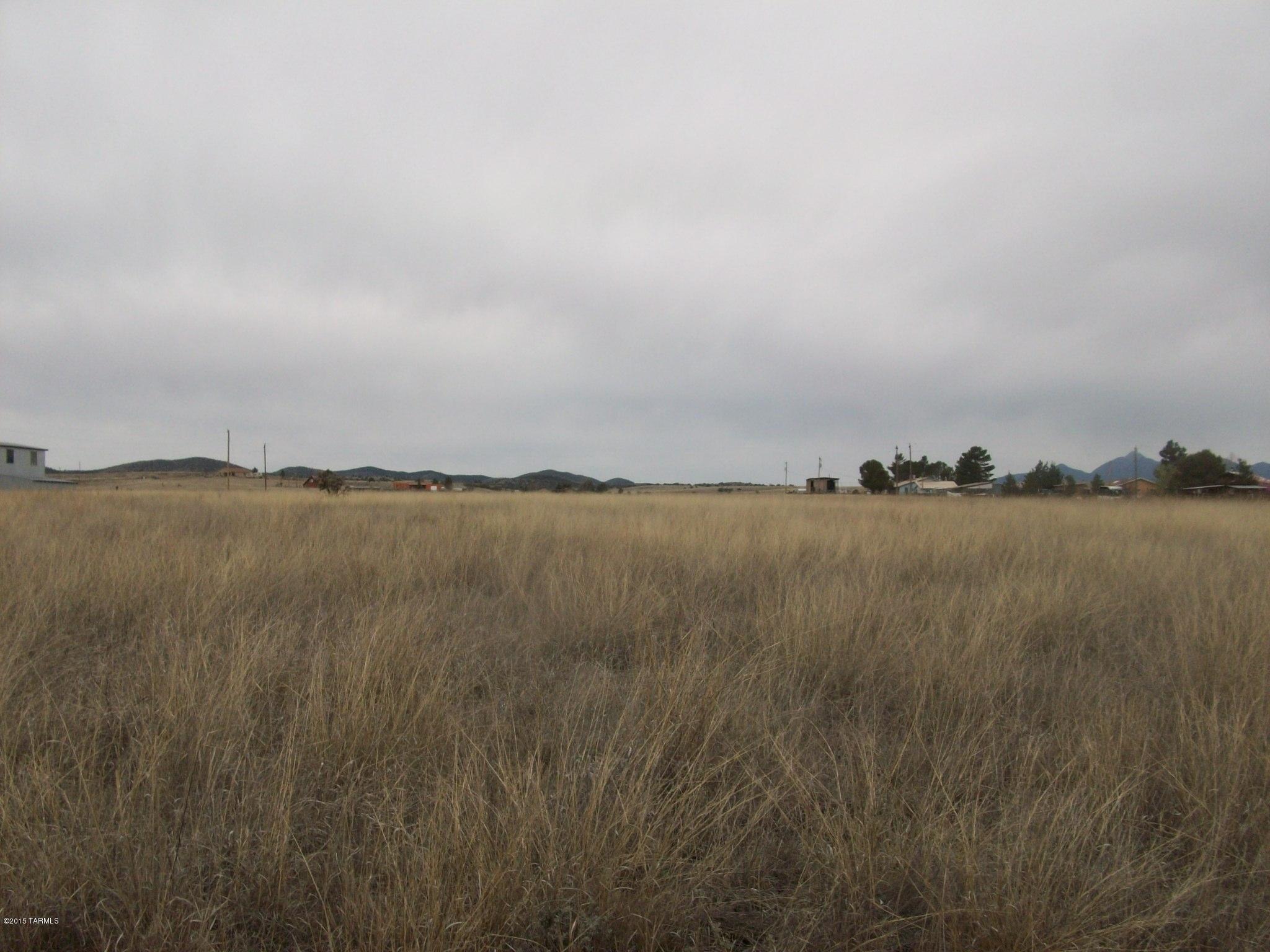 Only 25 miles north of Parker Canyon - level lot for your dream home - 5 miles south of Sonoita - great area.