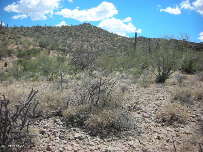 Wildcat Pass (1-61) - Land