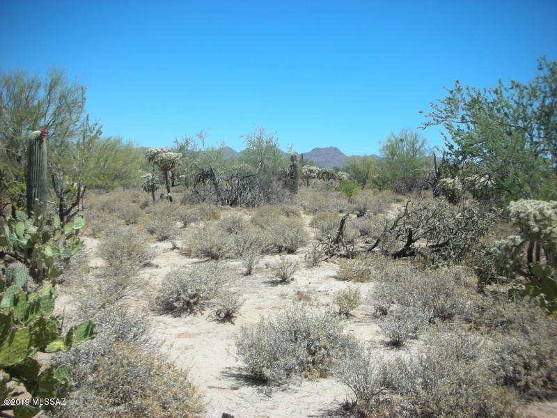 Wildcat Pass (1-61) - Land
