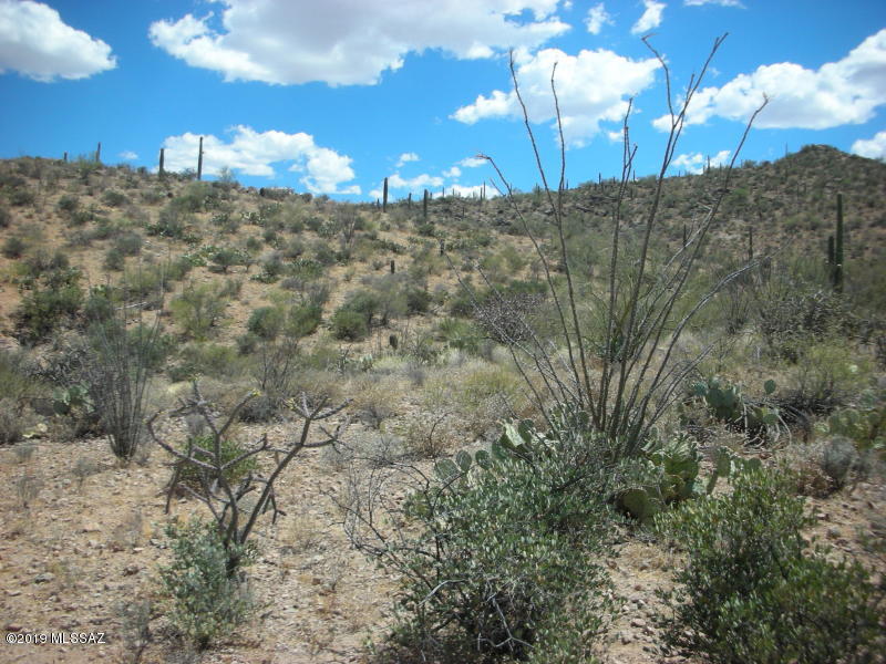 Wildcat Pass (1-61) - Land