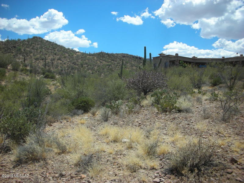 Wildcat Pass (1-61) - Land