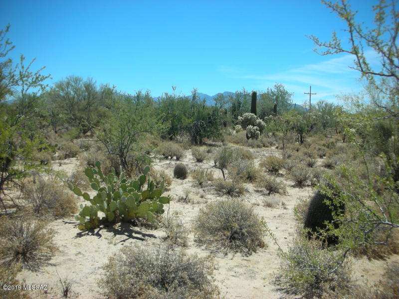 Wildcat Pass (1-61) - Land