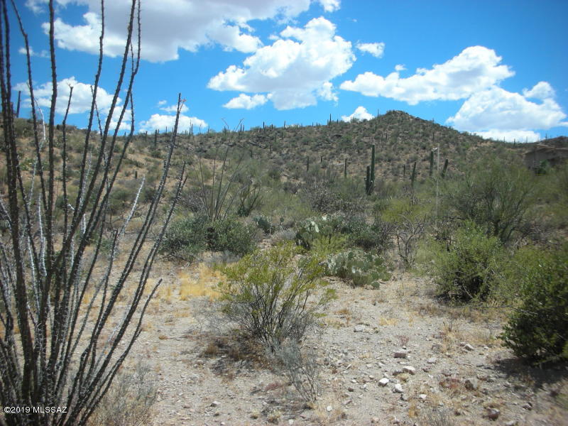 Wildcat Pass (1-61) - Land