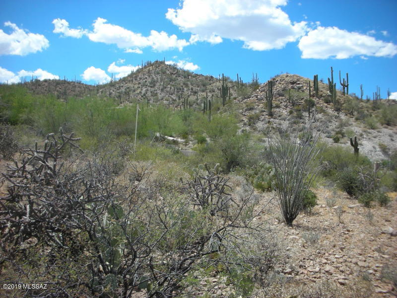 Wildcat Pass (1-61) - Land