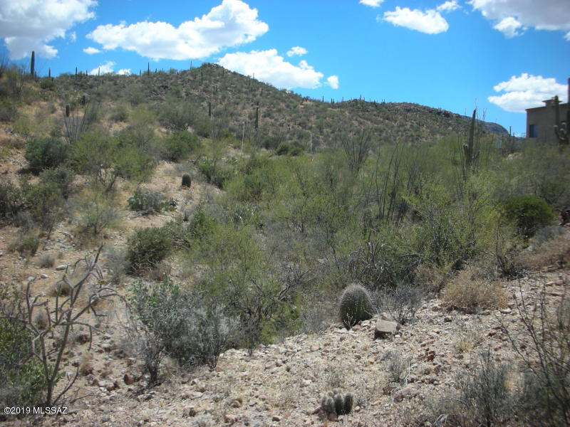 Wildcat Pass (1-61) - Land