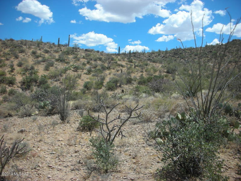 Wildcat Pass (1-61) - Land