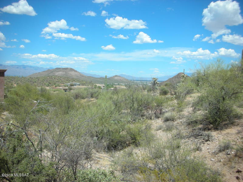 Walk to the back of this end of CUL-DE-SAC BEAUTY to appreciate the wonderful combination of CITY VIEWS across the valley and neighboring, TUCSON MOUNTAIN PARK's peaks and ridges. High end custom homes surround you on this level, EASY BUILD and TRANQUIL site. The newest gated community in Starr Pass, WILDCAT PASS features homes valued well over $1,000,000. Enjoy the RESORT LIFESTYLE offered by the JW MARRIOTT, SPA, RESORT and GOLF & COUNTRY CLUB only minutes from your home (golf membership INCLUDED with your purchase). Take advantage of the nearby HIKING, BIKING and WALKING trails of SAGUARO NAT'L PARK. With easy access to I-10, Downtown Tucson, the Tucson Airport and all major employment centers. This is a MUST SEE custom home site. Consider purchasing together with owner's neighboring Lot 15 for a SUBSTANTIAL DISCOUNT; only $325,000.