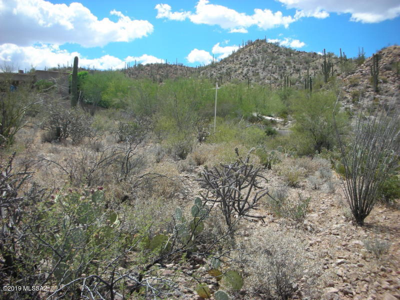 Wildcat Pass (1-61) - Land