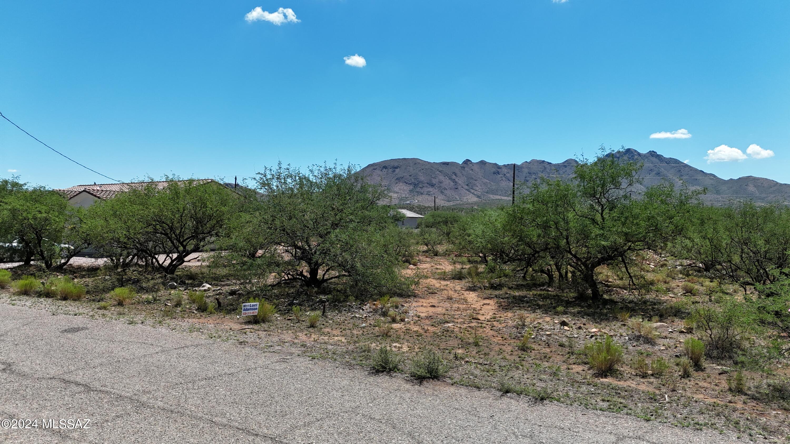 Rio Rico Villas 11 - Land
