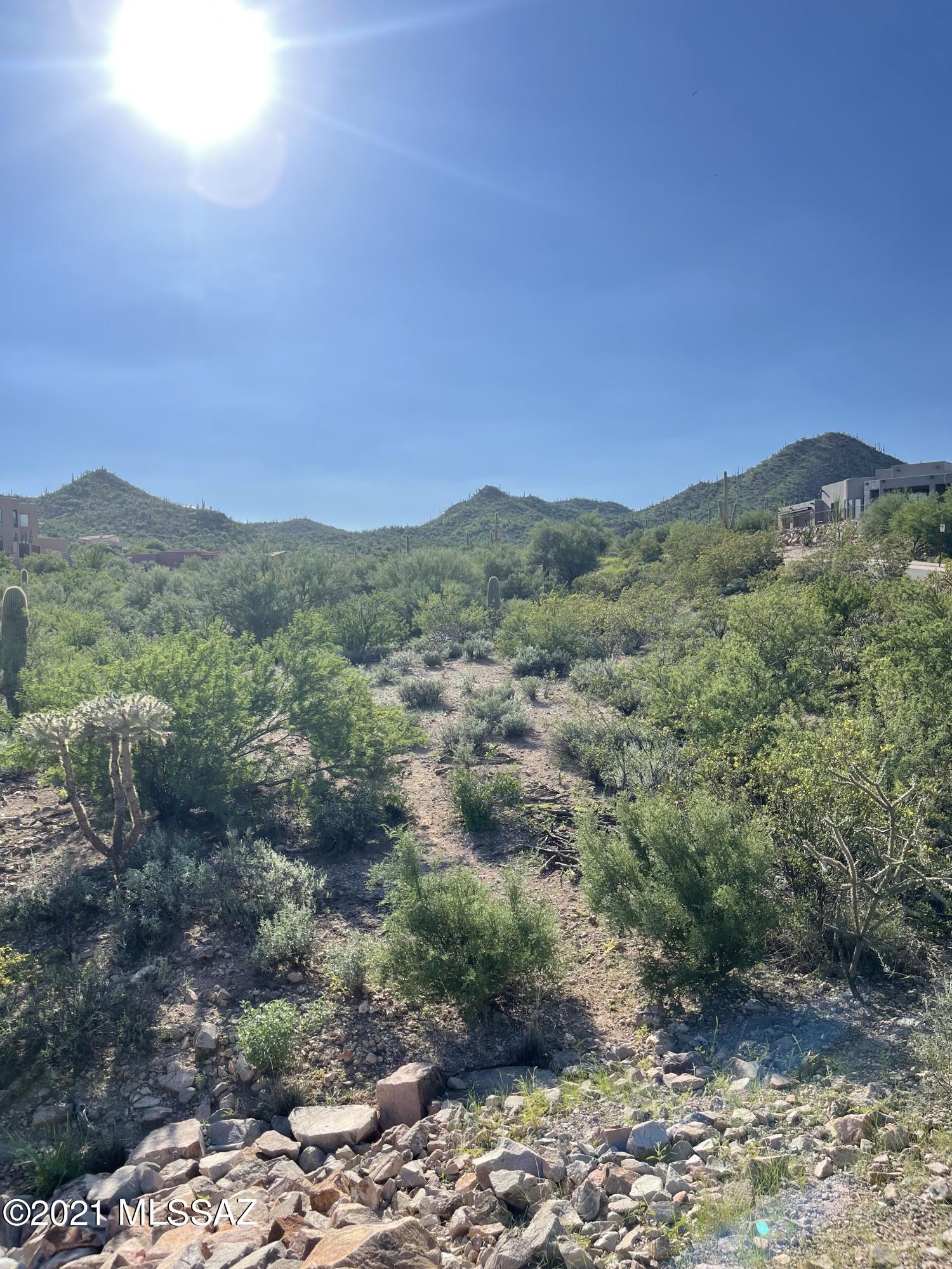 Wildcat Pass (1-61) - Land