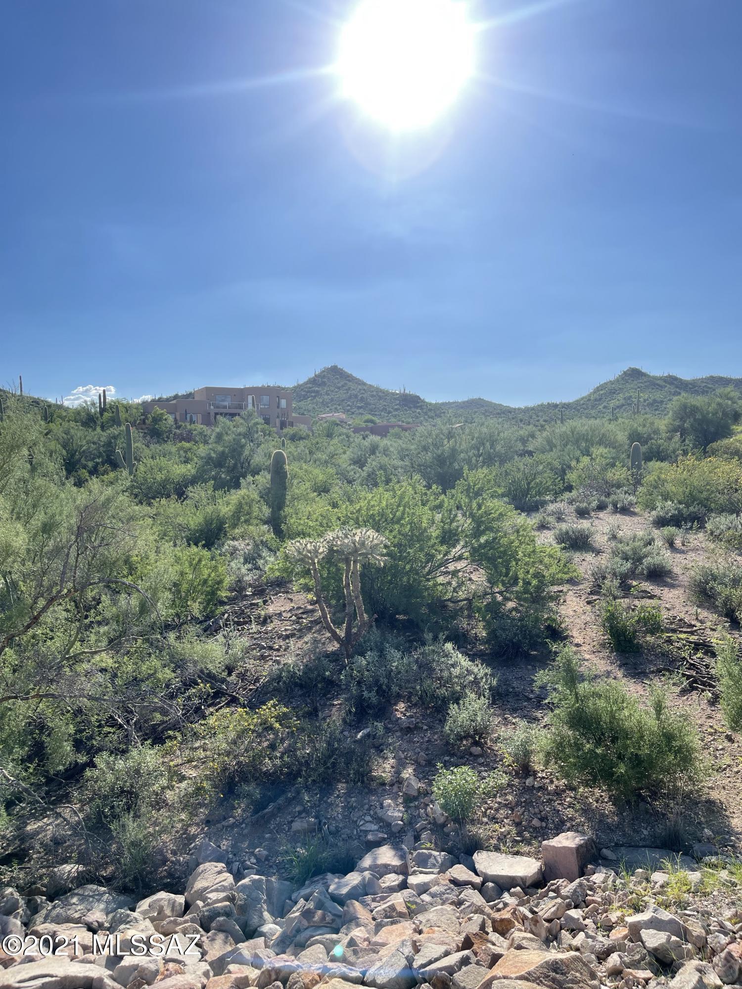 Wildcat Pass (1-61) - Land