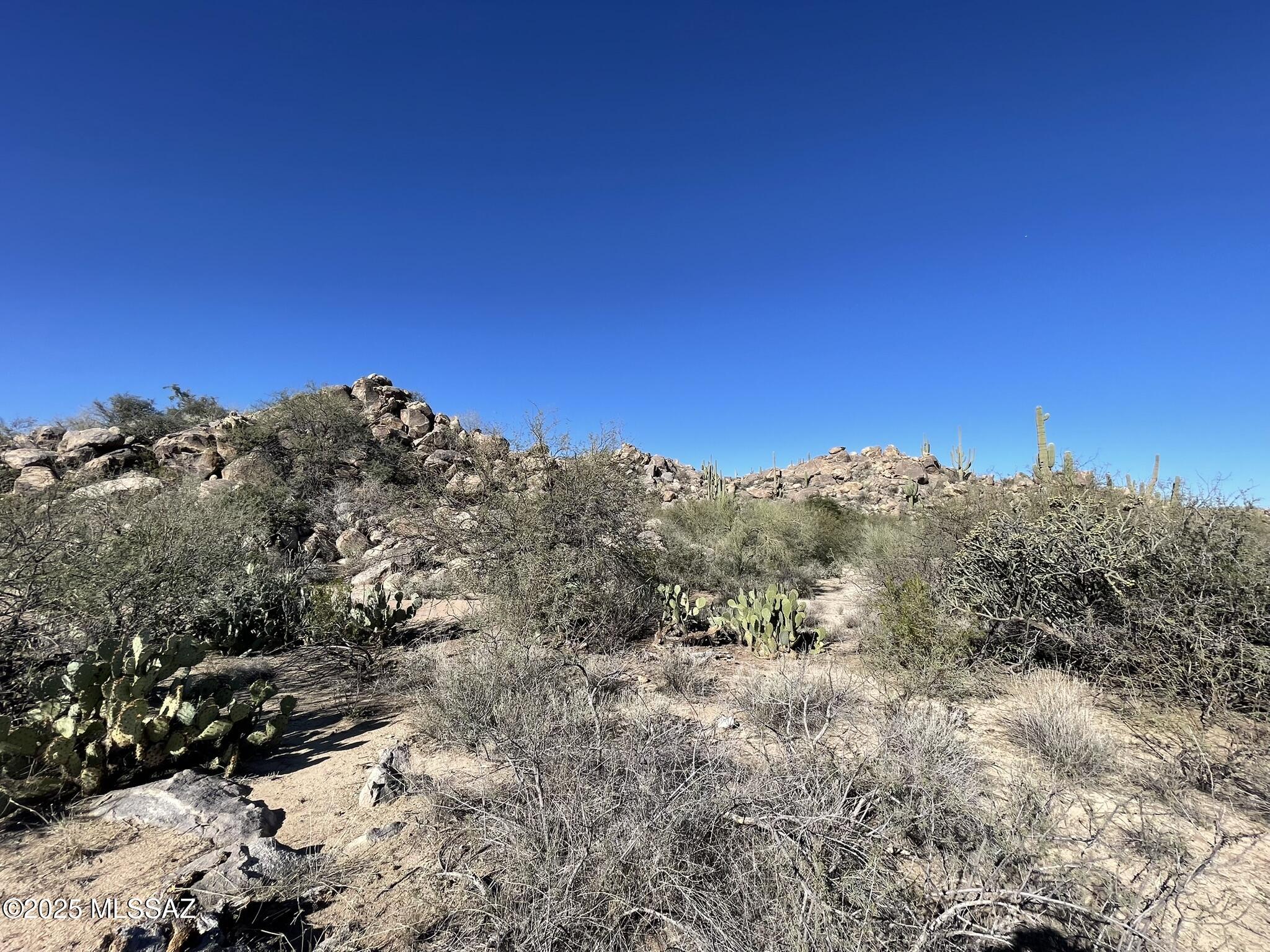 Stone Canyon IV - Land