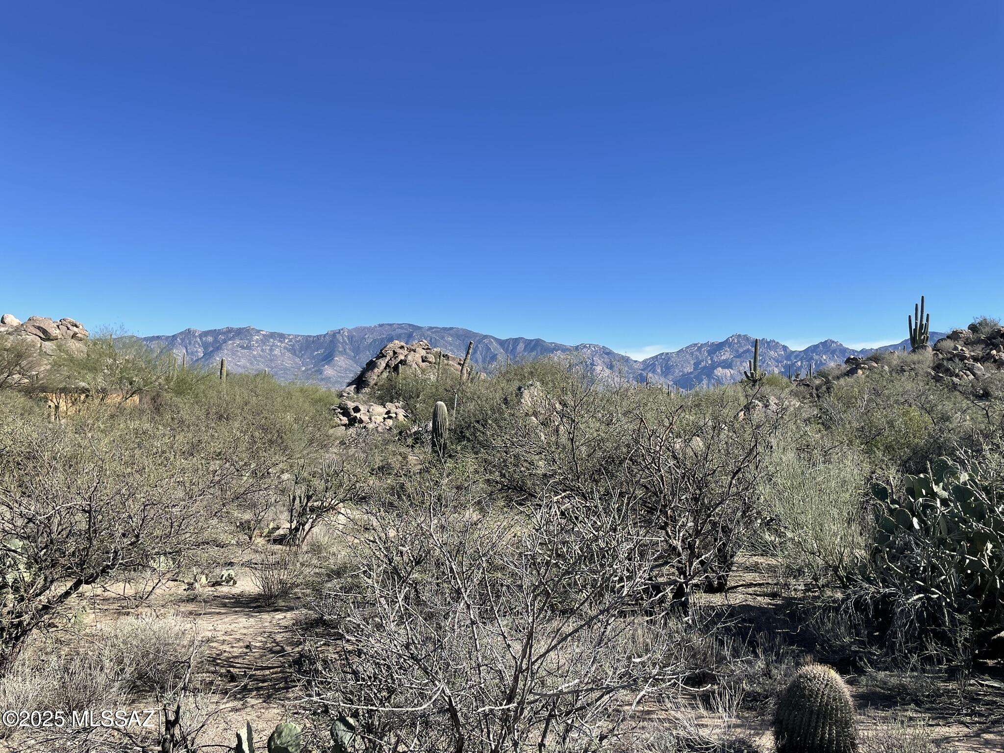 Stone Canyon IV - Land