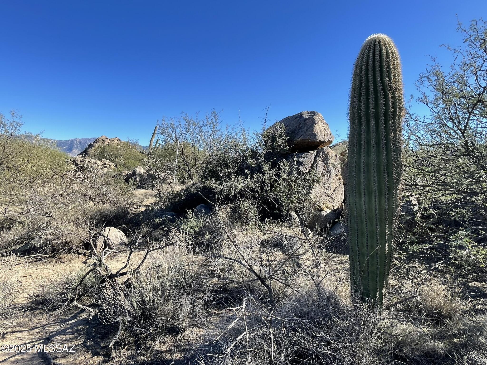 Stone Canyon IV - Land