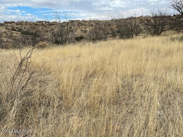 Rio Rico Ranchettes 12 - Land