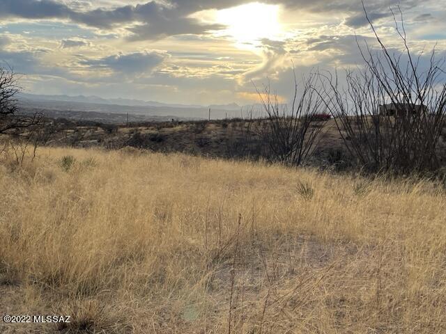 Rio Rico Ranchettes 12 - Land