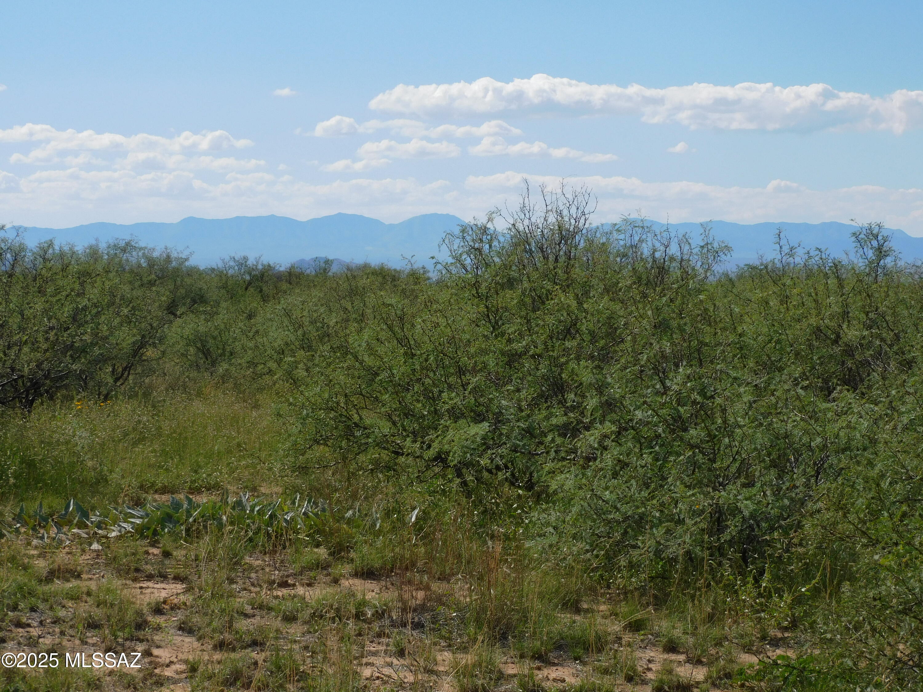 Set against the rugged backdrop of the Chiricahua Mountains in southeast Arizona, this 40-acre property embodies rural charm and wide-open tranquility. The land stretches out in all directions, dotted with native desert plants and rugged terrain, providing a true sense of seclusion and connection to nature. Tucked at the foothills, it offers expansive views of the mountains, with their dramatic peaks and shadows. The area is also home to several vineyards, adding a touch of cultivated charm to the surrounding landscape. The property's simplicity and natural beauty make it a haven for those seeking an off-the-grid lifestyle or a peaceful escape from the bustle of modern life. A perfect blend of rustic serenity and untamed landscape, this land is a slice of classic Arizona living.