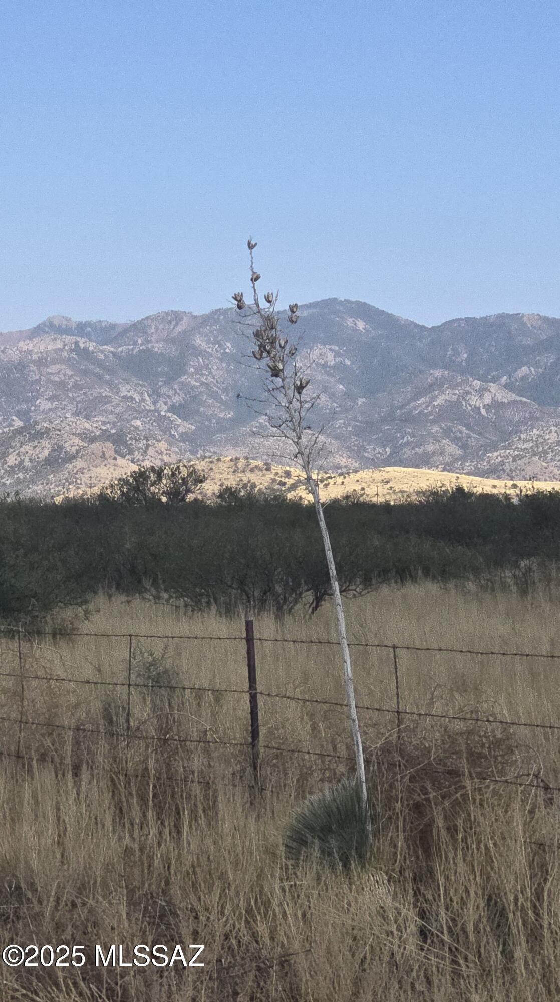 Turkey Creek Ranch - Land