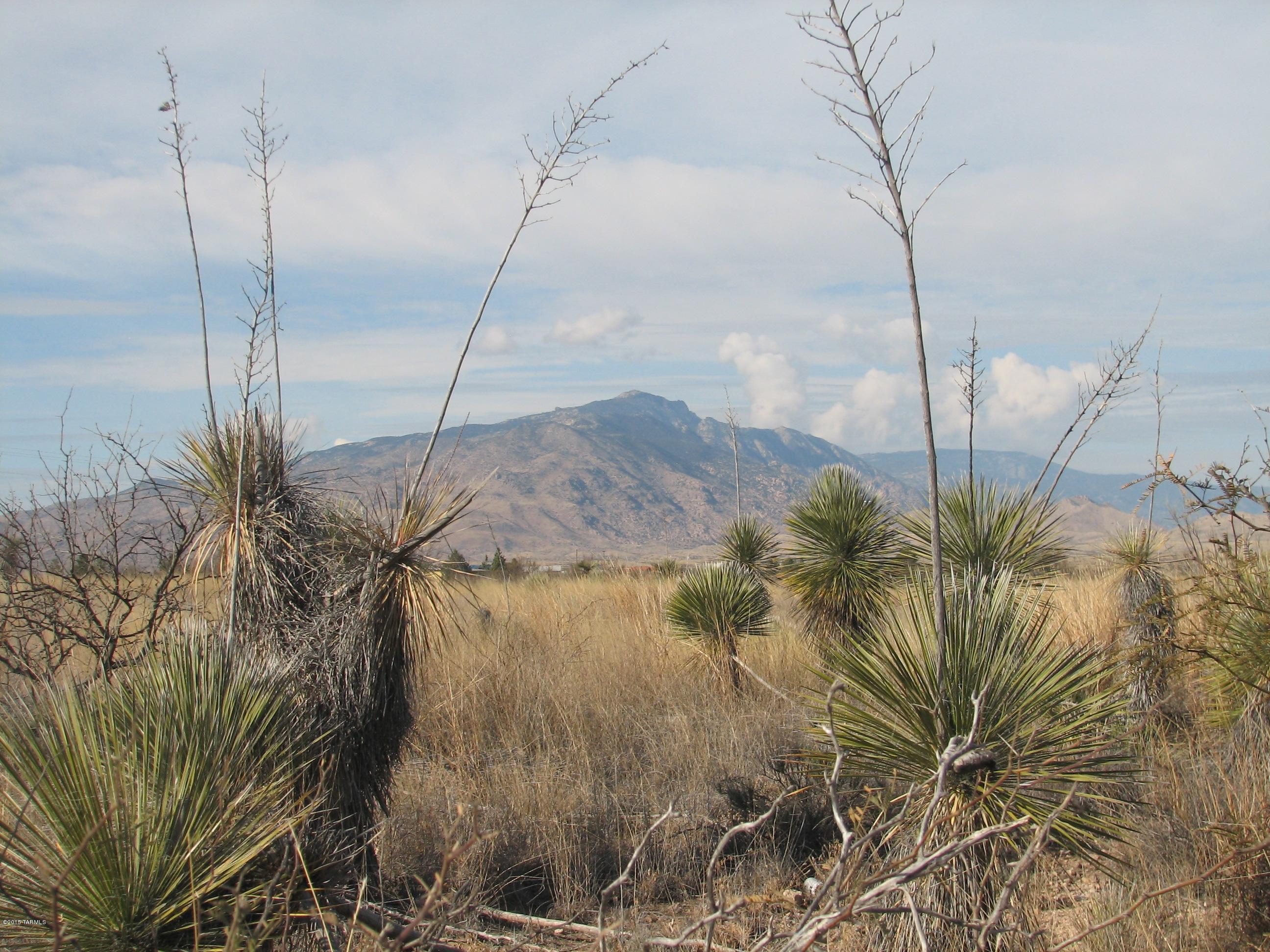 Mescal Lakes - Land
