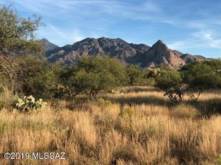 This level parcel is completely fenced with a shared well.  Build your dream home or perhaps a shop or barn for your hobbies or animals!  Wide open views of the valley and the Santa Rita Mtns and Elephant Head!