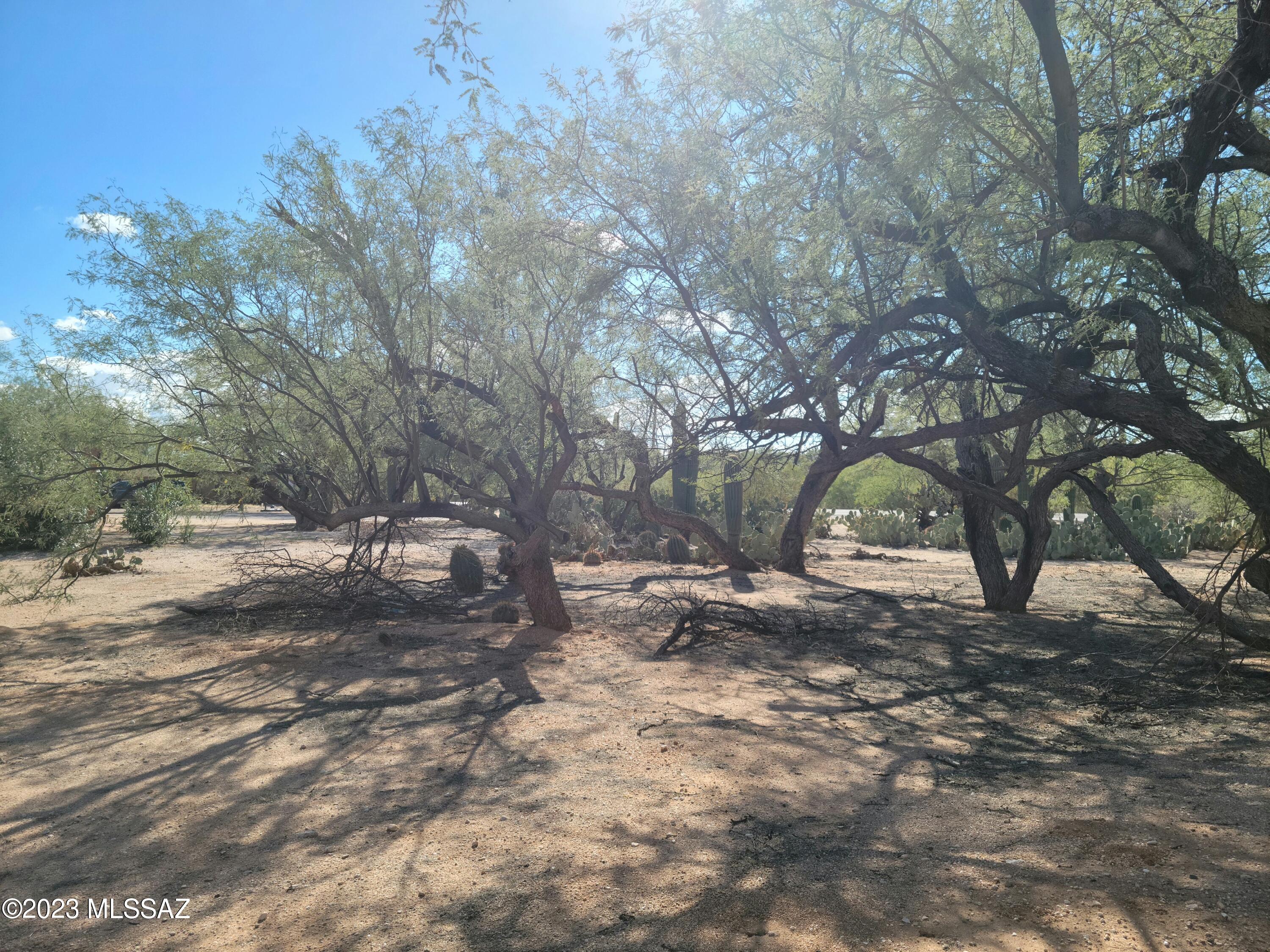 Pantano Ranch Estates  (1-35) - Residential