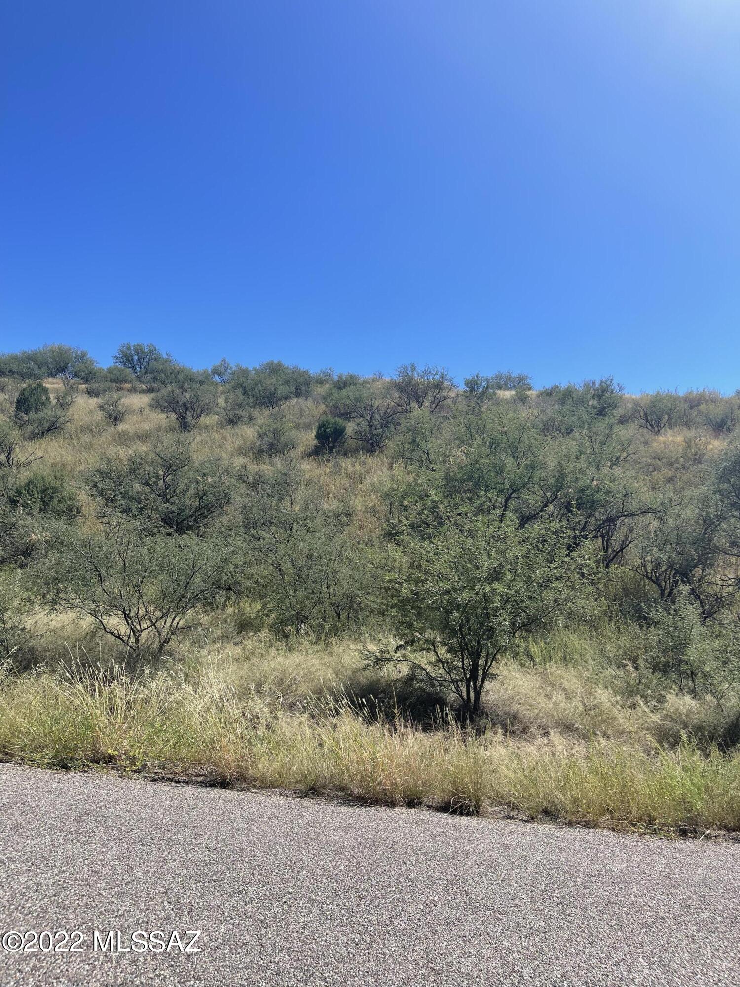 Rio Rico Estates 10 - Land
