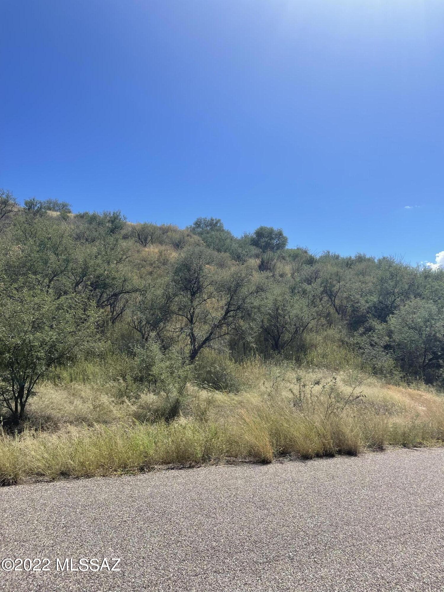 Rio Rico Estates 10 - Land