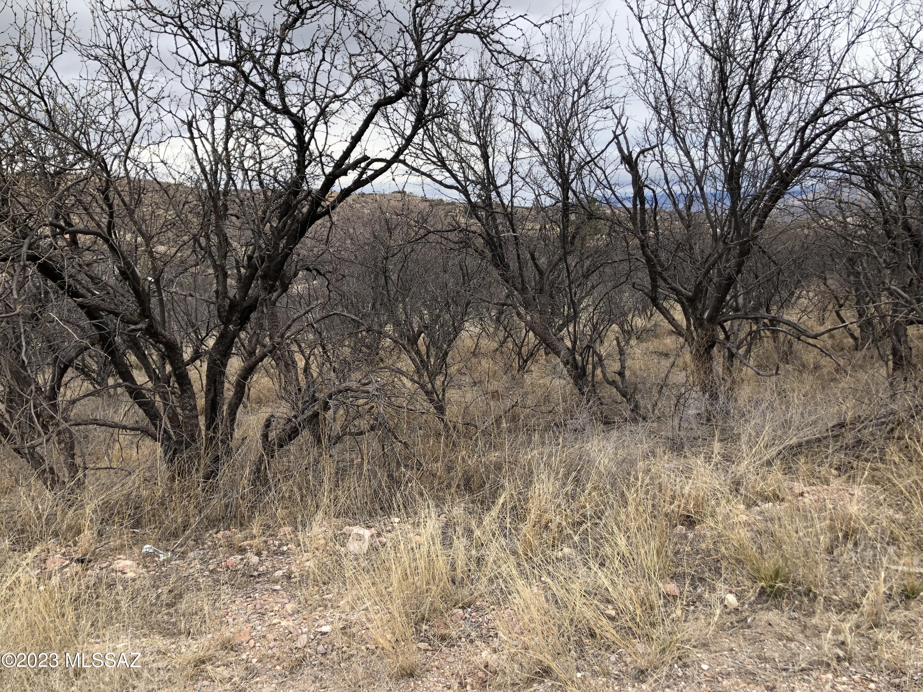 Nice residential lot with plenty of level area for the house site and leach field and great views.  All paved access.  Both Electic and water appear to be at the road but water service should be verified by the water co during inspections.