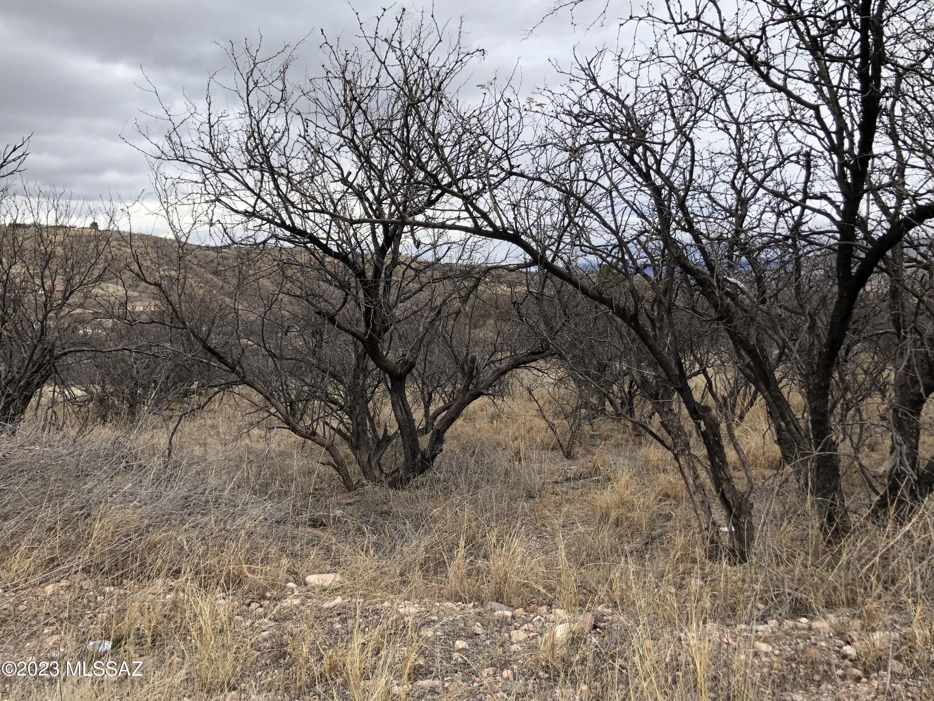 Rio Rico Ranchettes 9 - Land