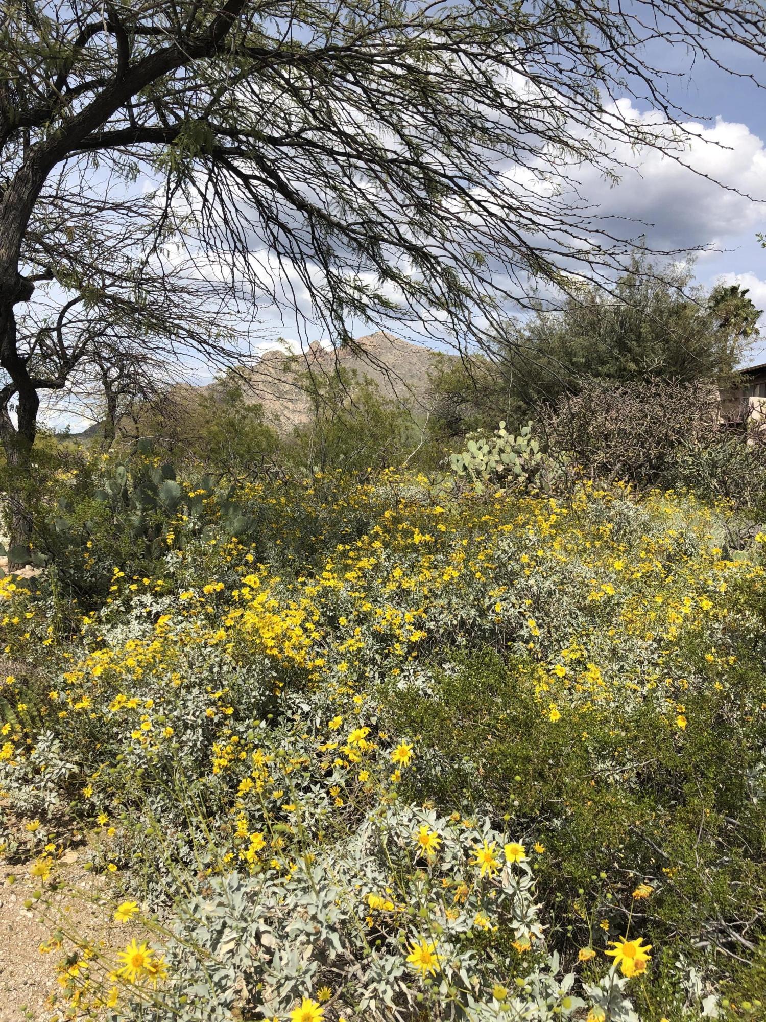Westward Look Guest Ranch NO. 1(1-61) - Residential